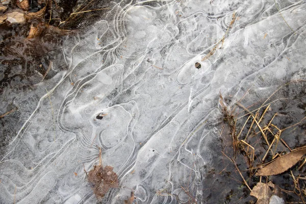 Тонкий Лужица Льда Красивыми Закручивающимися Конструкциями Замерзшая Вода Холодный Зимний — стоковое фото