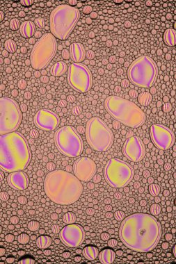 Gökkuşağı Yağlı ve Su Soyut Duvar Kağıdı Dokuları. Yağlı kabarcıklar ve kabarcıklar bir sürü yumuşak güzel renkler içerir. Benzersiz eğlenceli resim