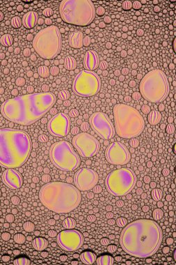 Gökkuşağı Yağlı ve Su Soyut Duvar Kağıdı Dokuları. Yağlı kabarcıklar ve kabarcıklar bir sürü yumuşak güzel renkler içerir. Benzersiz eğlenceli resim