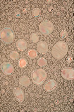 Gökkuşağı Yağlı ve Su Soyut Duvar Kağıdı Dokuları. Yağlı kabarcıklar ve kabarcıklar bir sürü yumuşak güzel renkler içerir. Benzersiz eğlenceli resim