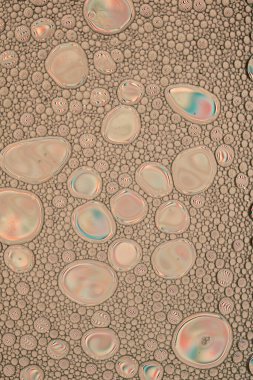 Gökkuşağı Yağlı ve Su Soyut Duvar Kağıdı Dokuları. Yağlı kabarcıklar ve kabarcıklar bir sürü yumuşak güzel renkler içerir. Benzersiz eğlenceli resim