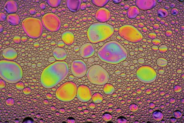 Gökkuşağı Yağlı ve Su Soyut Duvar Kağıdı Arkaplan Dokusu. Yağ kabarcıkları ve kabarcıklar bir sürü canlı güzel renkler içerir. Benzersiz eğlenceli resim.