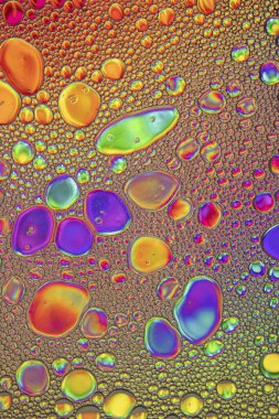 Gökkuşağı Yağlı ve Su Soyut Duvar Kağıdı Arkaplan Dokusu. Yağ kabarcıkları ve kabarcıklar bir sürü canlı güzel renkler içerir. Benzersiz eğlenceli resim.