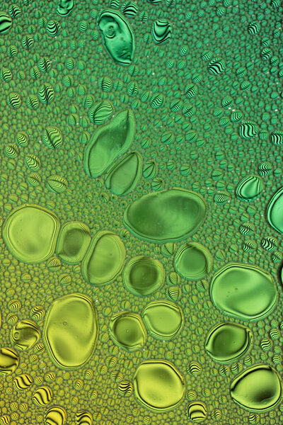 Green Oil and Water Abstract Wallpaper Background Texture. Oil Bubbles and blobs containing lots of bright vibrant beautiful colors. Unique fun image.