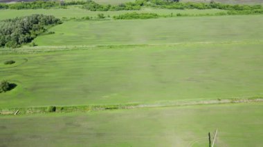 Ukrayna 'daki tarım alanı, çok yeşil.