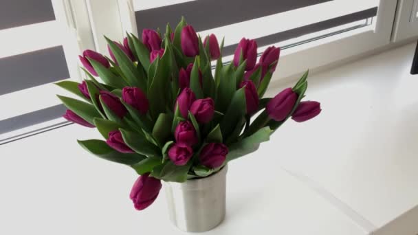 Bouquet de tulipes violettes, fleurs étonnantes dans un vase. Tir moyen. — Video