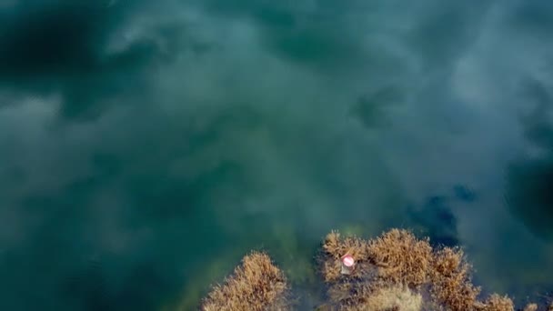 Vliegen over het blauwe meer met panorama op het dorp — Stockvideo