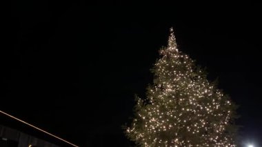 Geceleri parlayan ışıklarla süslenmiş güzel bir Noel ağacı. Sıcak aydınlatma ve karanlık gökyüzü arkaplan ile şenlikli tatil atmosferi. Noel, yeni yıl ve kış kutlamaları için mükemmel..