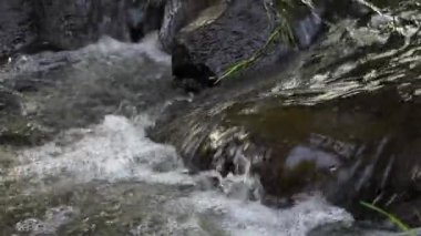 Doğal bir derede ıslak taşların üzerinden akan suyun yakın görüntüsü.