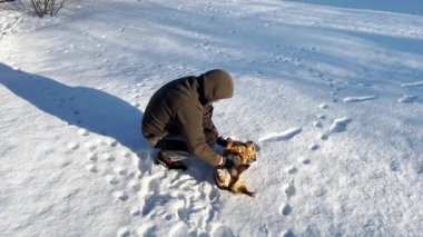 Sıcak giysili bir adam karda sırtüstü yatan bir köpekle oynuyor. Aydınlık bir kış günü, etrafta ayak izleri var. İnsanlarla evcil hayvanlar arasında hassas bir ilgi ve dostluk anı.
