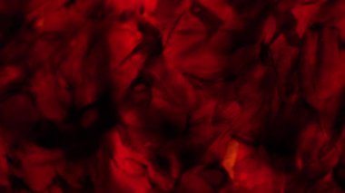 Pürüzsüz akış dokusuna ve organik şekillere sahip canlı kırmızı soyut yüzeye yakın durun. Sanat, tasarım ve yaratıcı projeler için uygun dinamik arkaplan.