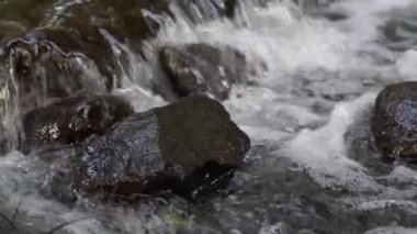 Doğal bir derede taşların üzerinden hızla akan kaynayan suyun yakın görüntüsü. Dinamik hareket, temiz doku ve enerjik akış canlı bir doğa sahnesi oluşturur..