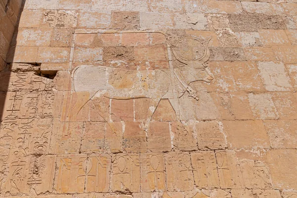 Hieroglyphs Wall Valley Kings Luxor Egypt — Stock Photo, Image