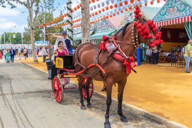Seville, İspanya - 5 Mayıs 2019 Sevilla, İspanya 'da 5 Mayıs 2019 tarihli Nisan Fuarı sırasında at arabasında genç ve güzel bir kadın