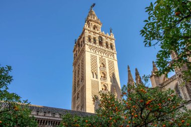 Ön planda portakal ağaçları olan Sevilla Katedrali 'nin (Seville Katedrali) Giralda Kulesi manzarası