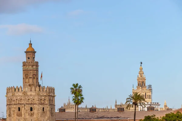 Torre Del Oro Giralda Catedral Sevilla Atardecer Desde Otro Lado —  Fotos de Stock