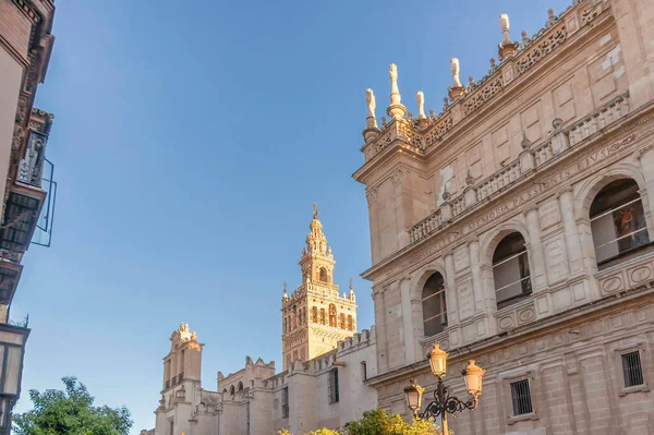 Pohled Sevillskou Katedrálu Marie Stol Sevillská Katedrála Věží Giralda — Stock fotografie