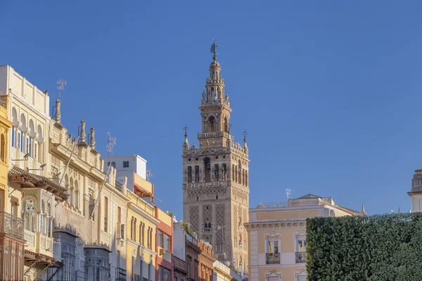 Pohled Sevillskou Katedrálu Marie Stol Sevillská Katedrála Věží Giralda — Stock fotografie