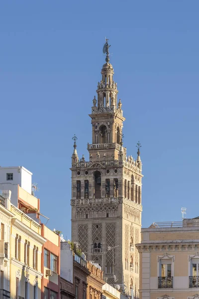 Pohled Sevillskou Katedrálu Marie Stol Sevillská Katedrála Věží Giralda — Stock fotografie