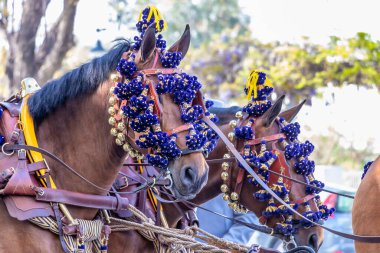 Nisan Fuarı, Sevilla Fuarı (Feria de Sevilla), Endülüs atları, İspanya