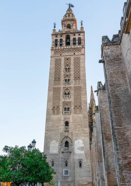 Güneşli bir günde Seville Cathedral of Saint Mary of the See 'deki (Seville Katedrali) Giralda kulesi
