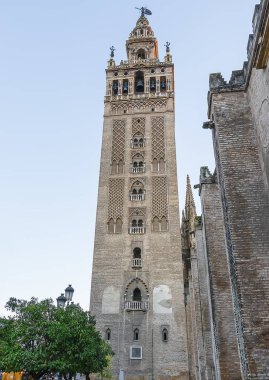 Güneşli bir günde Seville Cathedral of Saint Mary of the See 'deki (Seville Katedrali) Giralda kulesi