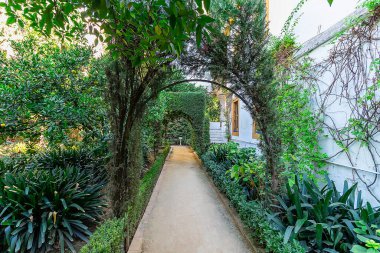 Seville, İspanya - 28 Ekim 2017: Alba Dükleri Sarayı veya Palacio de las Duenas Sarayı