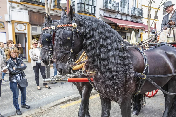 Sevilla Spanien April 2018 Schöne Schwarze Pferde Ziehen Eine Pferdekutsche — Stockfoto