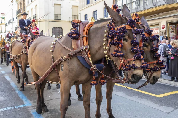 西班牙塞维利亚 2018年4月15日 塞维利亚四月博览会 Seville April Fair 上马拉车 — 图库照片