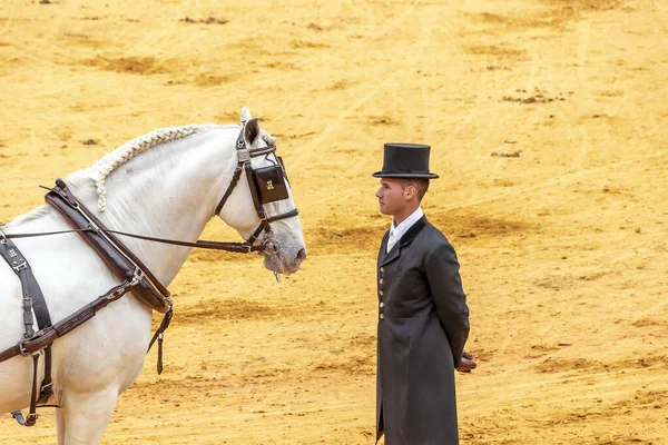 Sevilla Španělsko Dubna 2018 Kočár Tažený Koňmi Zastavuje Lokaj Dubnovém — Stock fotografie