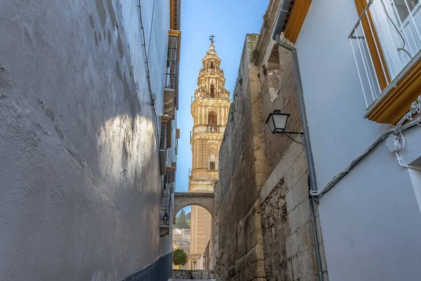 ビクトリア塔 ビクトリア塔 の眺め狭い通り エステパ セビリア県 アンダルシア スペイン 西ヨーロッパを歩く — ストック写真