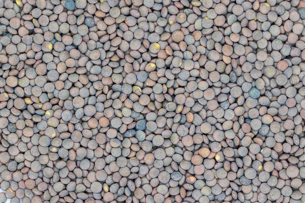 食感のための乾燥茶色のレンズ豆 — ストック写真