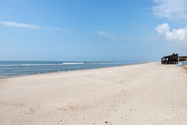 İspanyol cırtlak sesli güzel bir sahil. 