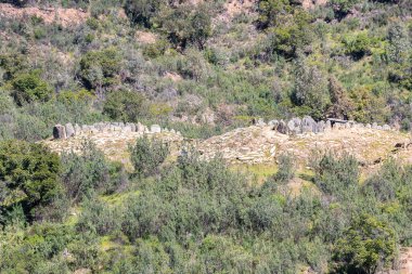 Huelva, Endülüs, İspanya 'daki El Pozuelo megalitik dolmen kompleksi. Dolmen numara 3 ve 4.