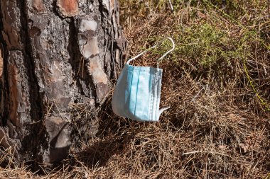 Korumacı bir yüz maskesi ormana atılmış.