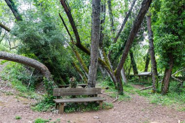 Huelva Dağları yolunda. Huelva dağlarındaki kırsal yol yürüyüş için
