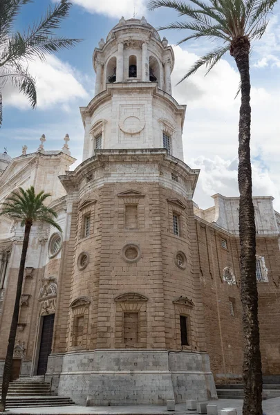 New Cathedral Catedral Santa Cruz Cadiz Andalusia Spain — Stock Photo, Image