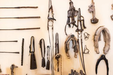 Sığırlarla tarım için kullanılan eski tarım araçları