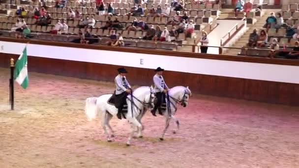 Jerez Frontera Cadiz Spanya Haziran 2021 Geleneksel Giysili Süvariler Terbiye — Stok video