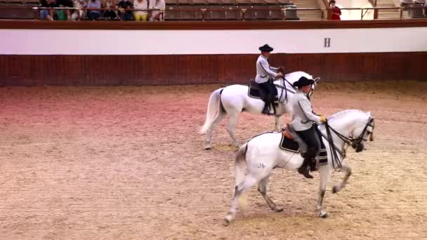 Jerez Frontera Cádiz España Junio 2021 Jinetes Vestidos Con Trajes — Vídeos de Stock