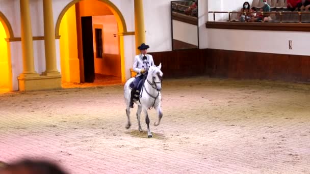 Jerez Frontera Cádiz Espanha Junho 2021 Cavaleiros Vestidos Com Vestido — Vídeo de Stock