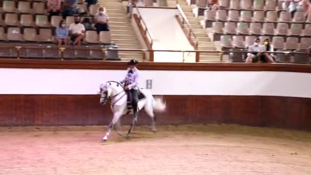 ヘレス フロンテーラ カディス スペイン 2021年6月17日 伝統的なドレスを着たライダーは ドレッシングのショーとしてジャンプを実行している純血種の白い馬のダンスを示しています 馬の踊り方を示す — ストック動画