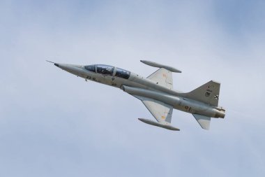 Seville, İspanya - 7 Temmuz 2020: Northrop F-5M Özgürlük Savaşçısı (AE-9) 23 kanat, İspanya Hava Kuvvetleri savaş uçağı Seville, İspanya 'da sergileniyor