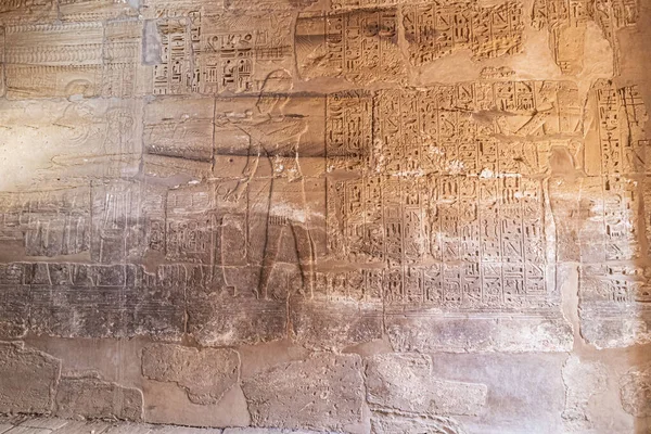古埃及卢克索古寺遗址中的象形文字 位于卢克索古城的埃及寺庙建筑群中 在埃及语言中 它被称为Ipet Resyt 南方的避难所 — 图库照片