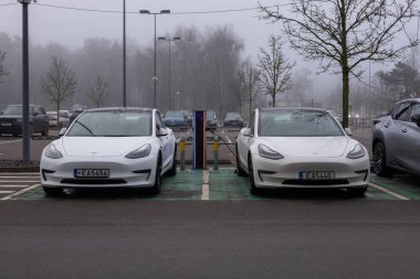 Vilnius, Litvanya - 20 Aralık 2025: Vilnius 'ta halka açık bir EV istasyonunda şarj olan iki beyaz Tesla Model 3 elektrikli sedan (20212023). Sisli kış sabahı, ıslak asfalt, yumuşak ışık, modern şehir otoparkı, sürdürülebilirlik kavramı.