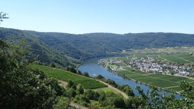 Trekking at the River Mosel in Germany - From Trier to Koblenz. High quality photo