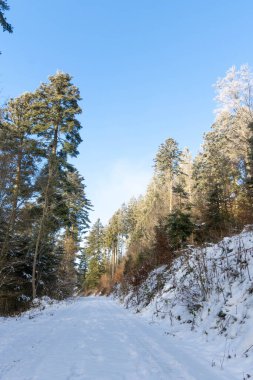 Kışın kar ve buzla Alman Kara Ormanı 'na yolculuk. Yüksek kalite fotoğraf