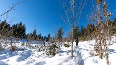 Kışın kar ve buzla Alman Kara Ormanı 'na yolculuk. Yüksek kalite fotoğraf