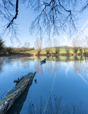 Trees mirrored in the clear blue Lake with good weather. High quality photo