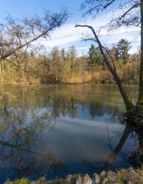 Trees mirrored in the clear blue Lake with good weather. High quality photo